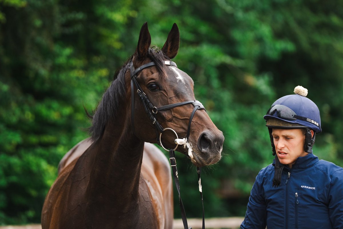 FOBRacing's tweet image. One @kemptonparkrace runner this evening, Dysart Enos and @DougieCostello go in the 8pm #TeamFOB