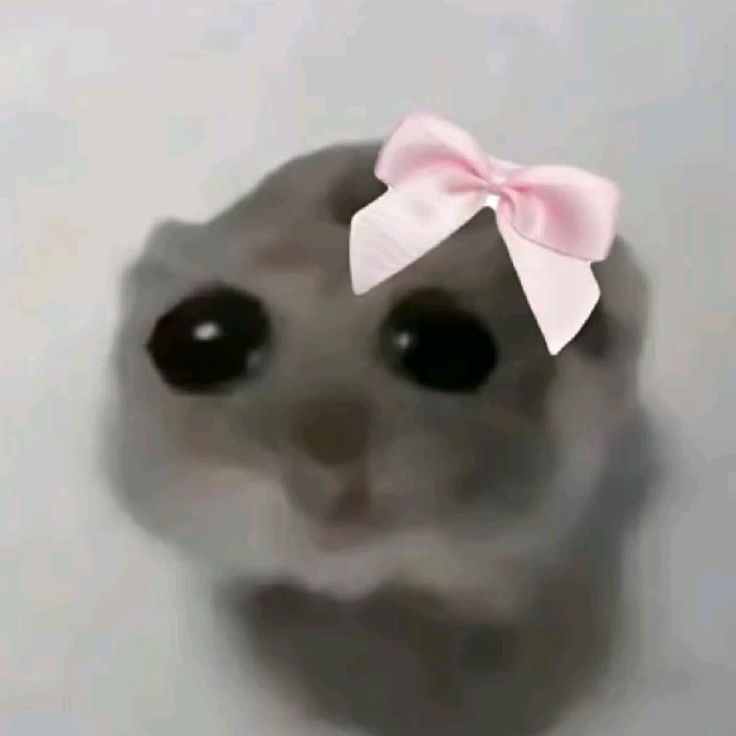 Kann jemand mal pros und kons von Internet Anbietern auflisten wäre voll coolio weil hab Wohnung aber kein internet bitte bitte help