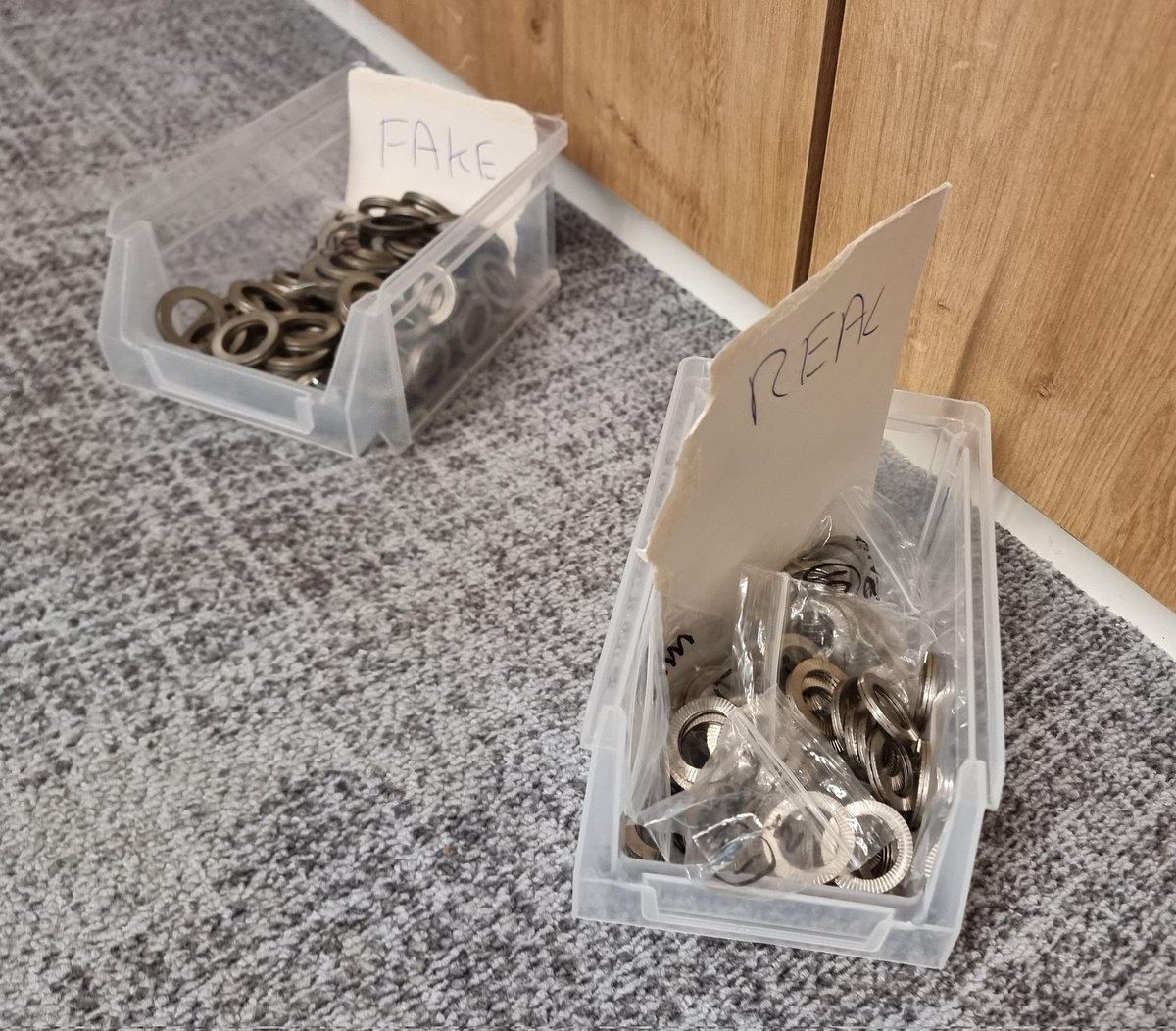 Noel Dolphin tweet media