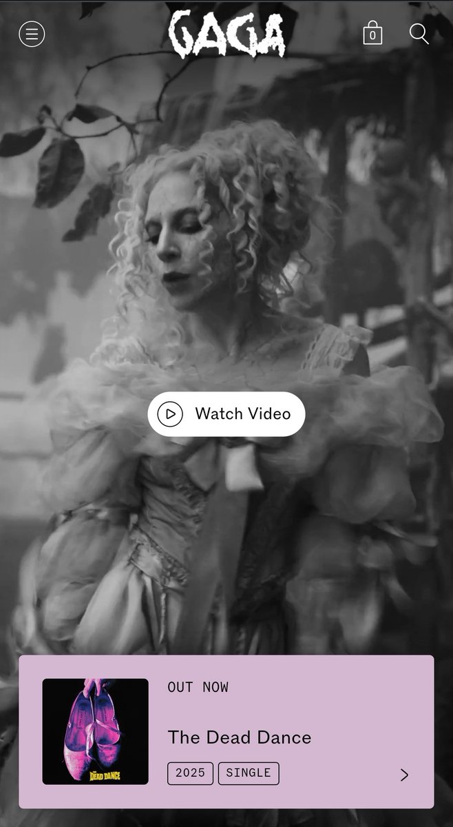 Michael finally updated the homepage on <a href="/ladygaga/">Lady Gaga</a>'s website!