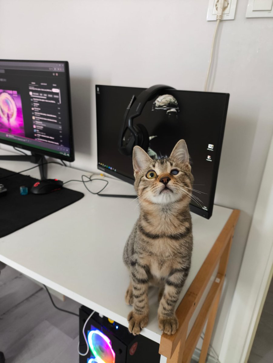 Kiraz ve Erik'im13 Eylülde ödemesi gereken 10500 pansiyon borcu var. Hala yuva bulamadılar. Yuva bulana kadar güvende kalmaları icin ödeme yapmamız gerekiyor.