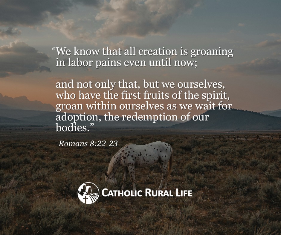 From the soil that feeds us, to the crops in our fields, to the livestock we tend, creation itself shares in the longing for redemption.

While only we can worship God with mind, heart, soul, and voice, Scripture reminds us that even nature “knows” its Creator in a mysterious
