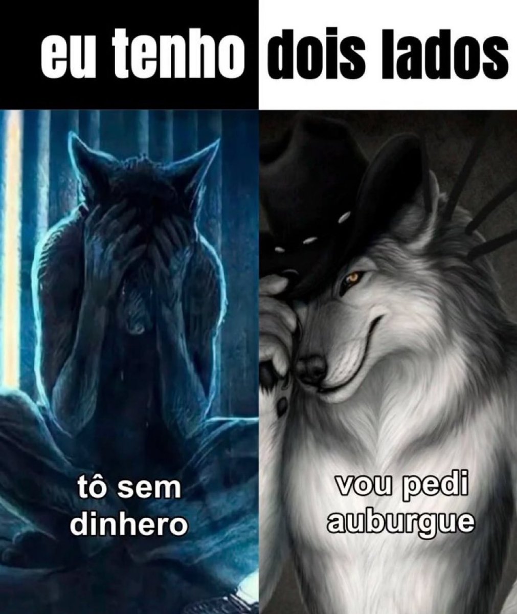 shitpostverdade tweet picture