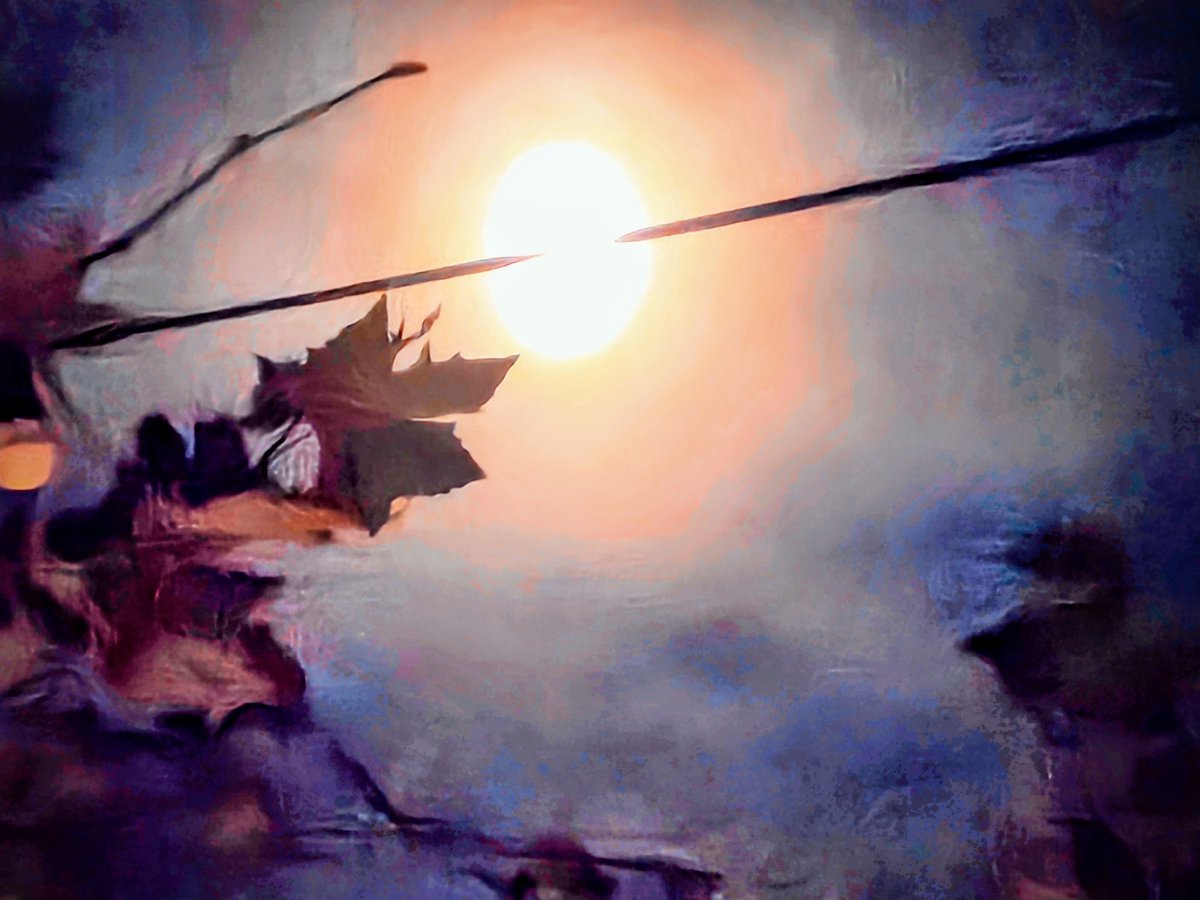 <a href="/KerstiSandstrom/">Kersti Sandström</a> Sunset..
😉🙋‍♂️