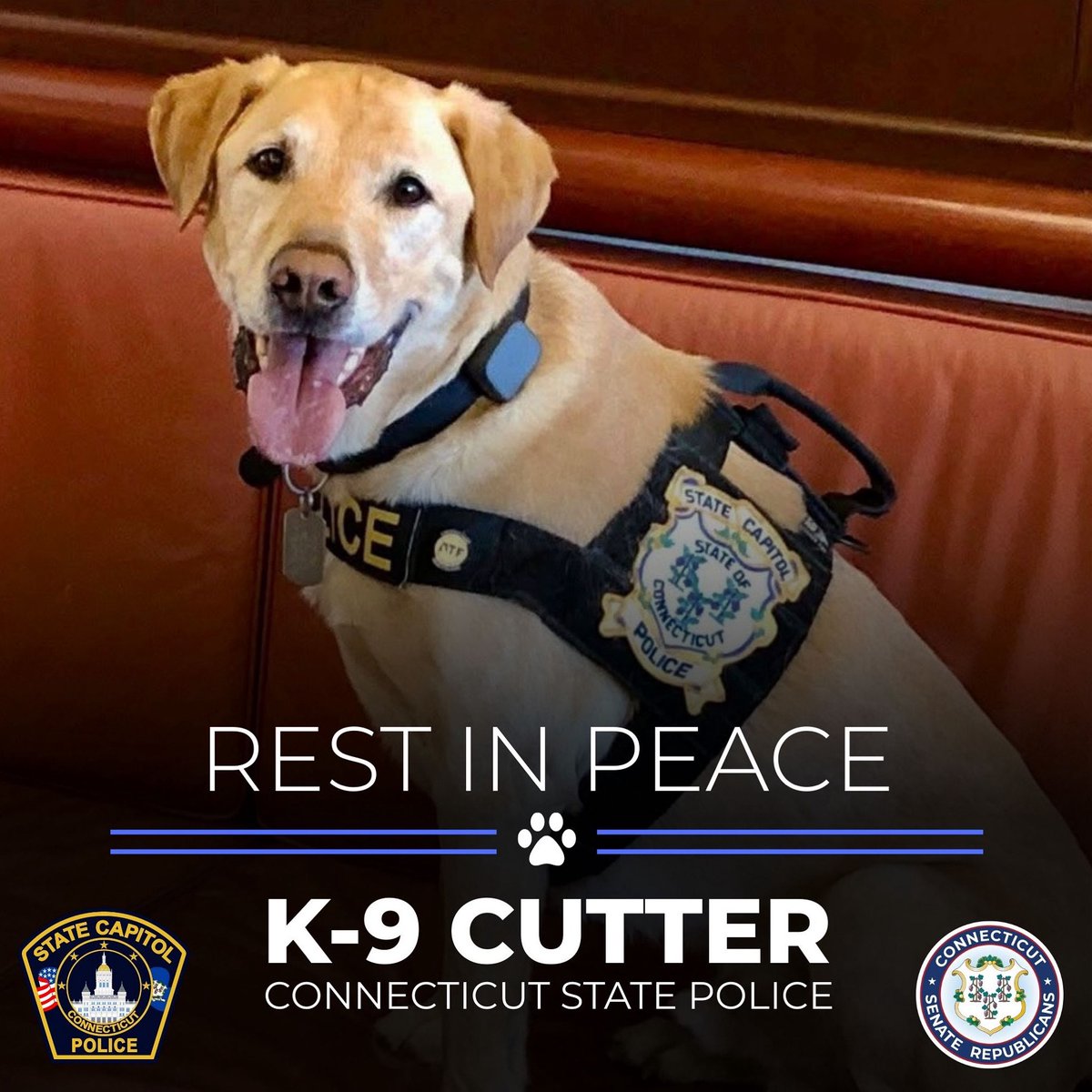 CT Senate Republicans (@ctsenategop) on Twitter photo Today, we honor the life and service of <a href="/CTCapitolPolice/">CT Capitol Police</a> K-9 Cutter, whose dedication helped protect lawmakers, staff, advocates, and visitors at the Capitol.
The Senate Republicans offer their sincerest condolences to K-9 Cutter’s handler, Officer Michael Bermudez, his family, Today, we honor the life and service of <a href="/CTCapitolPolice/">CT Capitol Police</a> K-9 Cutter, whose dedication helped protect lawmakers, staff, advocates, and visitors at the Capitol.
The Senate Republicans offer their sincerest condolences to K-9 Cutter’s handler, Officer Michael Bermudez, his family,