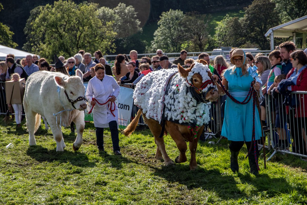 10days to go till <a href="/HodderShow/">Hodder Valley</a> 
#wednesdaywisdom

"When your best friend says "Just Dress Casual"  and SHE turns up like this.......

#fancydress #cow #comp