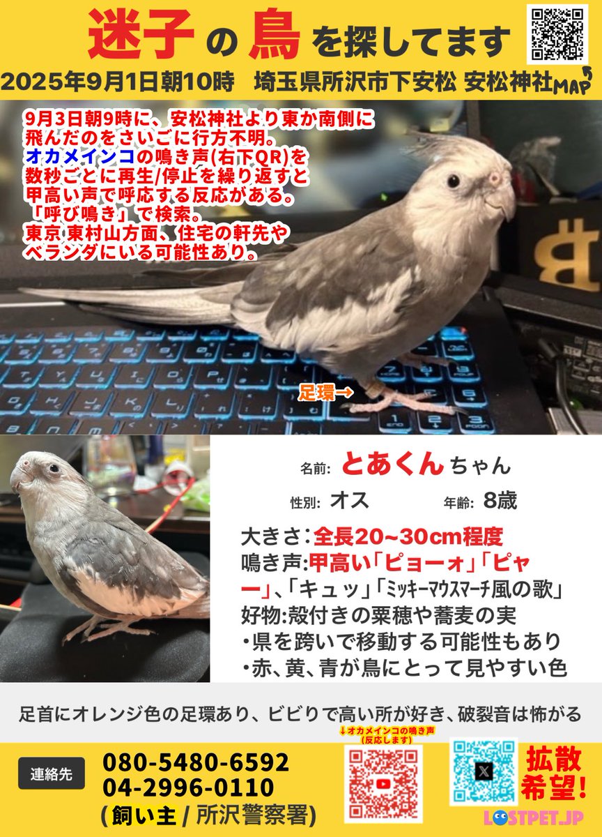 迷子 ページ uchiko (@uchiko04097551) / X