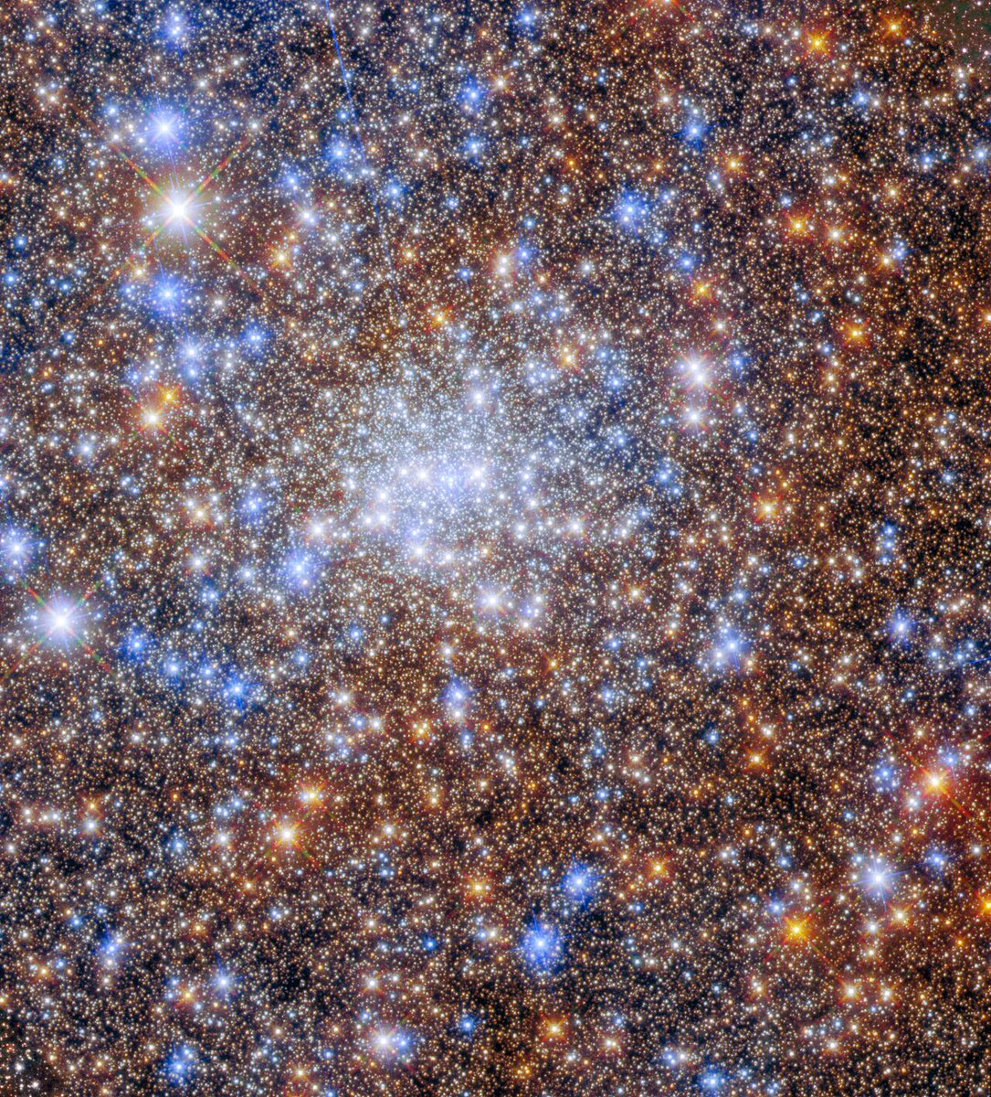A captivating view of Terzan 4, a globular cluster where countless stars are held together by their powerful gravitational bond.

(Credit: ESA/Hubble &amp; NASA, R. Cohen)