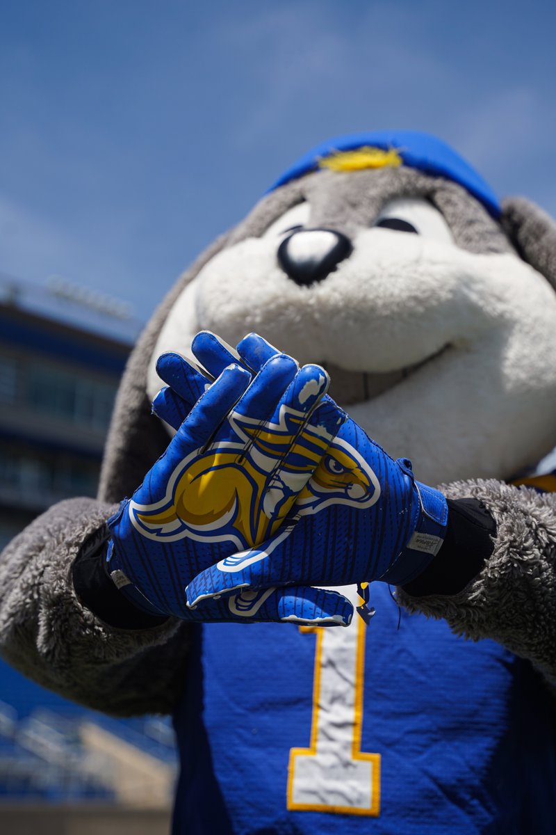 Happy #OneDayforSTATE, Jackrabbits! 💙 Today all gifts -- no matter the size -- can make a difference for Jackrabbits! 5,000 donors in 24 hours is bold goal, but there's nothing we can't do when we work together.

🔗 » gojacks.co/2025odfs

#OneDayforSTATE x #GoJacks 🐰