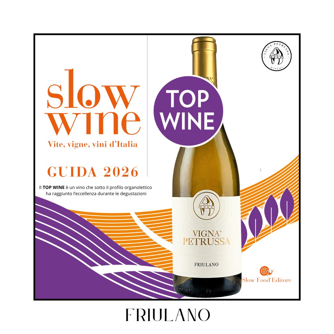 Vigna Petrussa tweet media