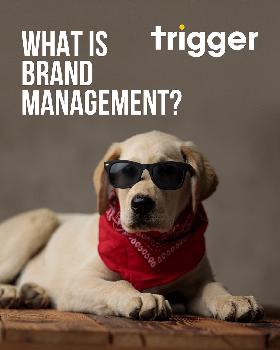triggersolution's tweet image. Your brand is more than a logo, it’s every interaction💡
 
Our latest blog explores brand management: what it is, why it matters, and how it builds trust &amp;amp; long-term success.
 
👉 Read it here: triggersolutions.co.uk/news/

#BrandManagement #BrandStrategy #Marketing