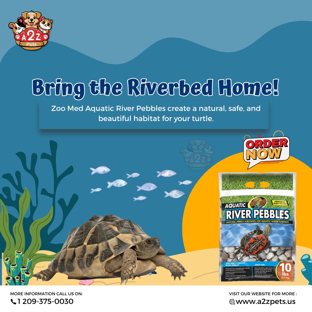 a2z_supplies's tweet photo. Zoo Med River Pebbles – Safe, smooth, and perfect for your turtle’s habitat!
.
Order Now at A2Z Pets
.
#TurtleTank #ZooMedPebbles #SafeHabitat #A2ZPet https://t.co/I5nh6qYE0h