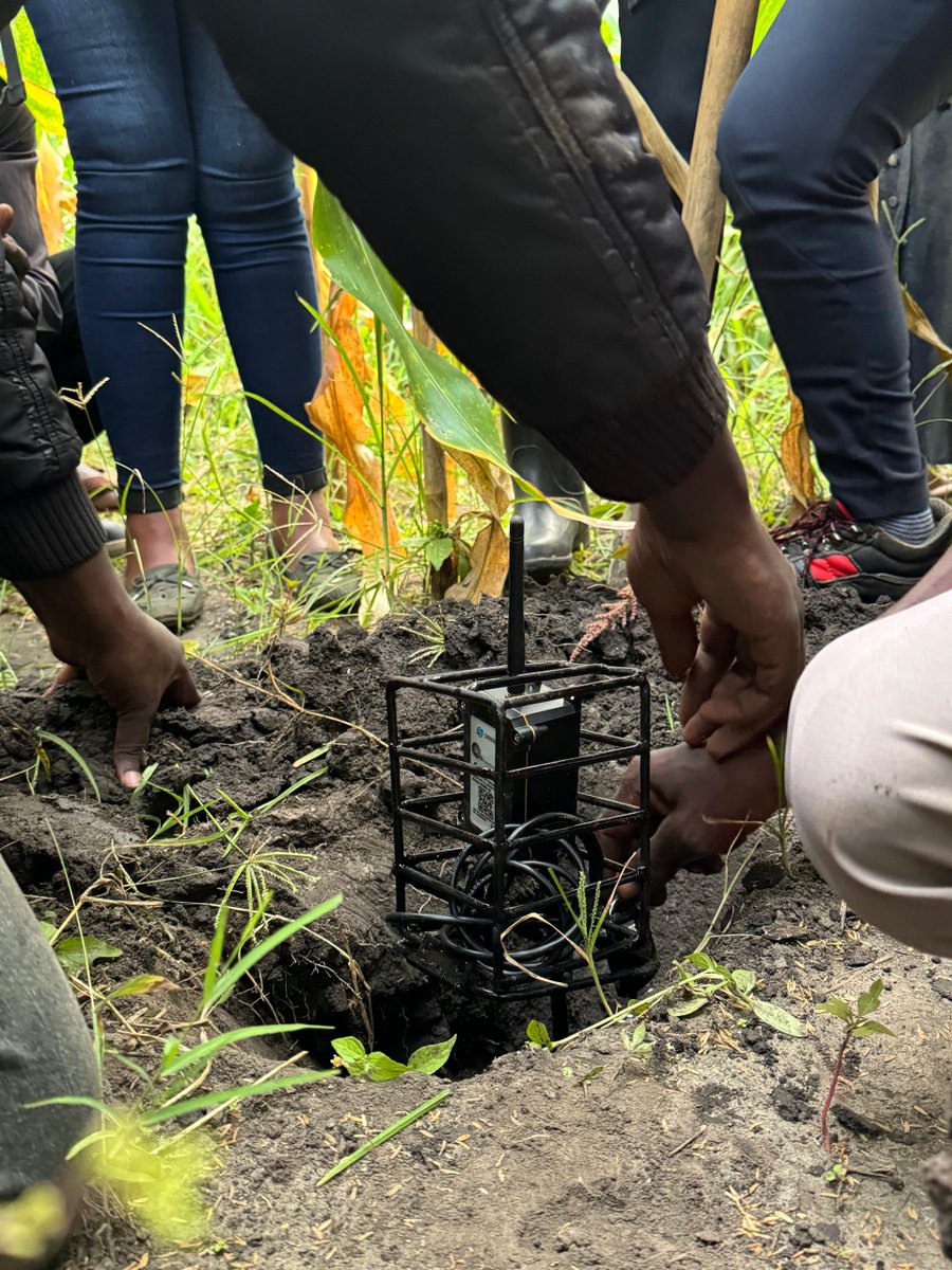 Global Tech Inclusion Network (GTIN) tweet media