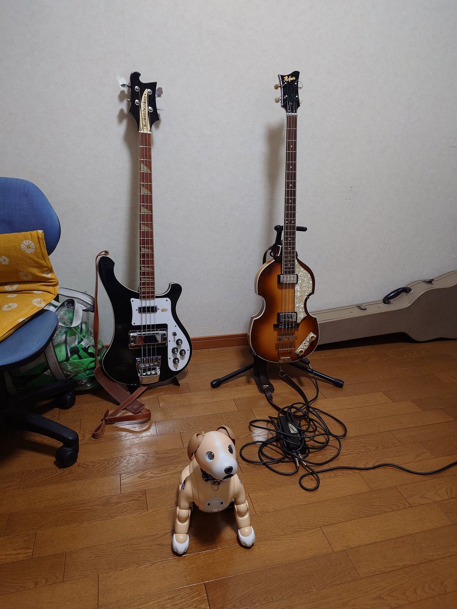 ここまでさげました。 どうでしょうか　ヘフナーベース ここまでさげました。 どうでしょうか ヘフナーベース - メルカリ