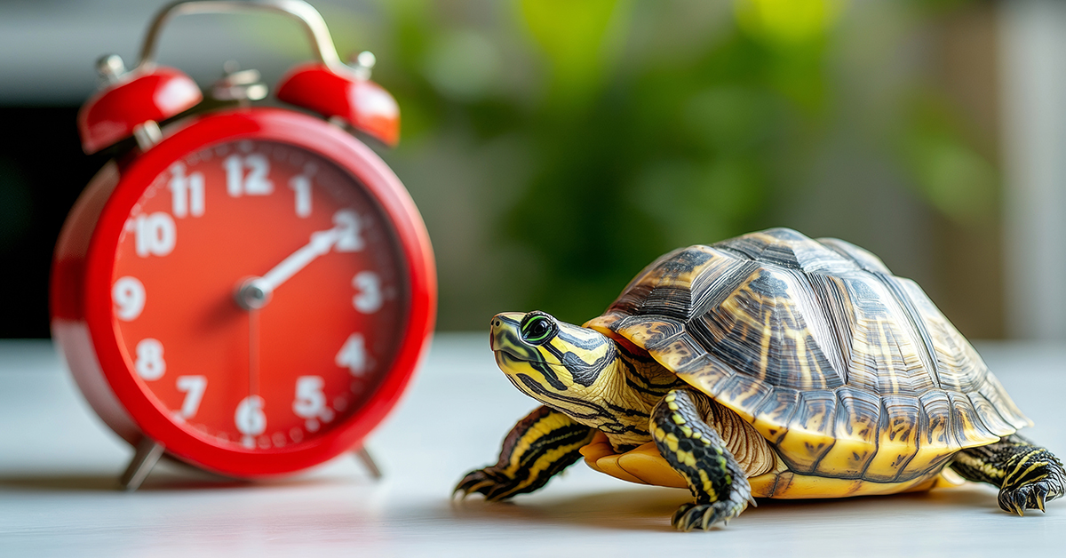 Time is running out to register for our Office Ergonomics Accreditation Program on September 24-25 in Branchburg, NJ (registration ends on September 10th). 
📷 Register now: lnkd.in/g7dVaHFH
#Ergonomics #OfficeErgonomics #WorkplaceWellness #ErgonomicsTraining #ergo #nj