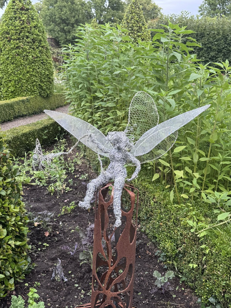 Tiffany Dowd tweet media