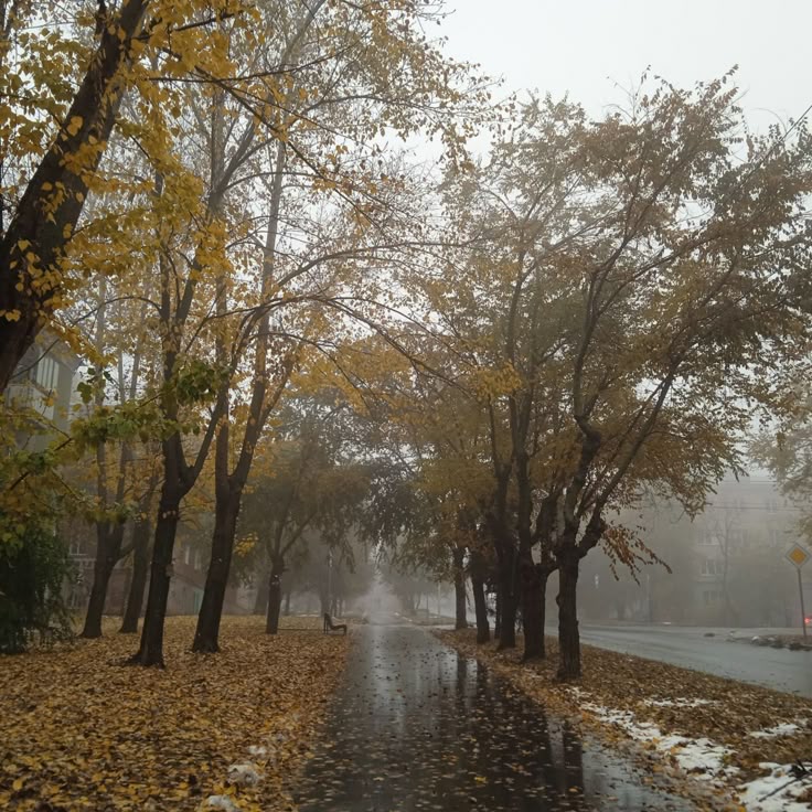 talya9646171863's tweet photo. waking up on a rainy fall day https://t.co/06hF3hRKDt