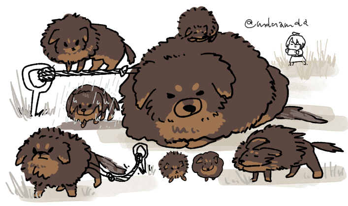 🌺窓🍍 tweet media