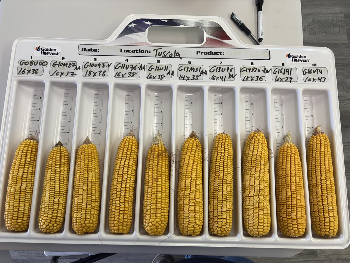 Dustin Sullivan tweet media