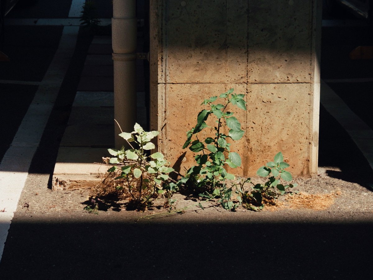 明るい場所で立ち尽くしている