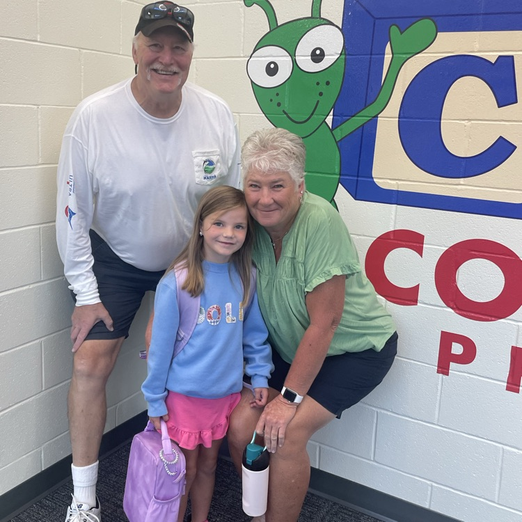 Concrete Primary tweet media