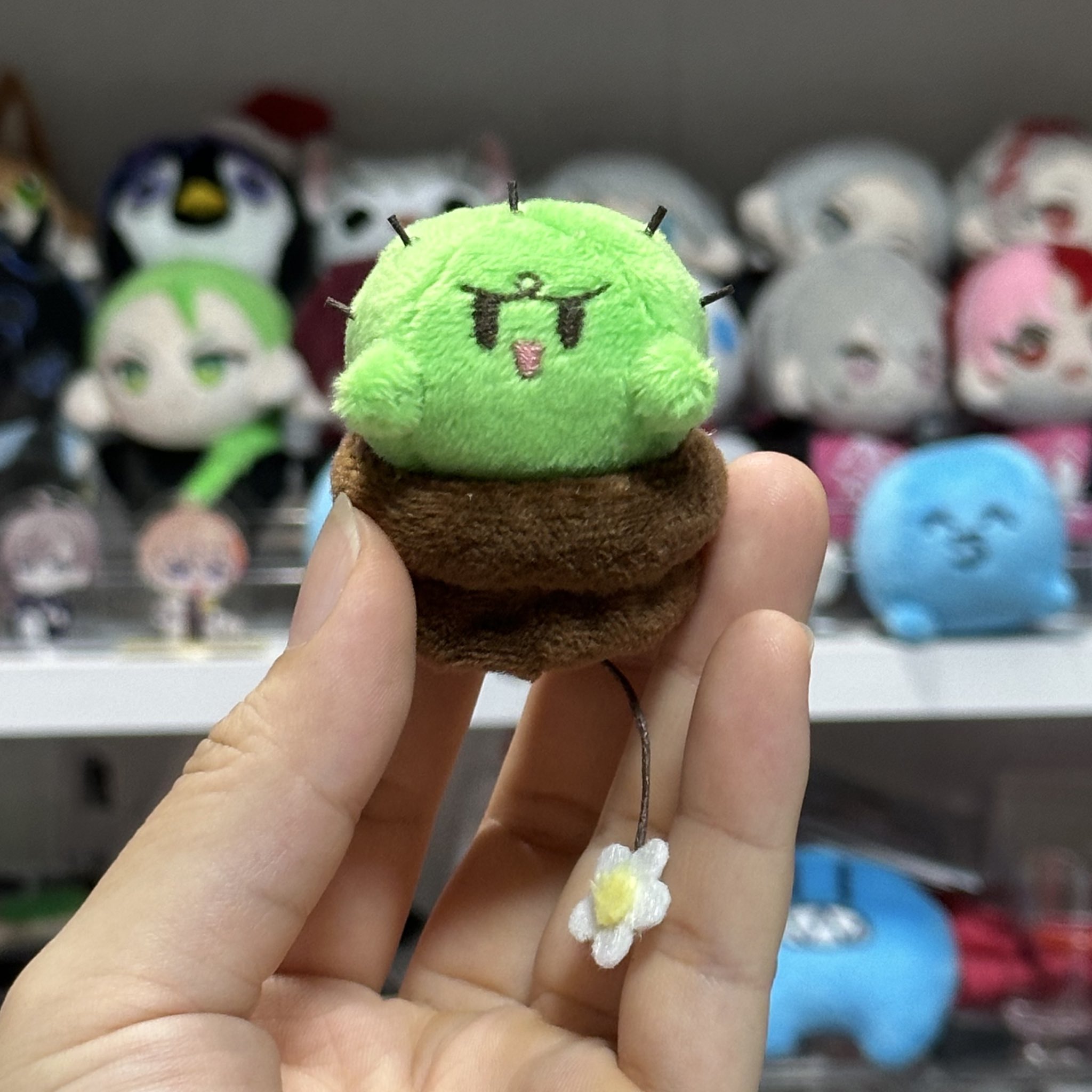 ぐちつぼ　ぬいぐるみ ぐちつぼ 限界ぬいぐるみぐちつぼ 限界 ぐちつぼぬいぐるみ