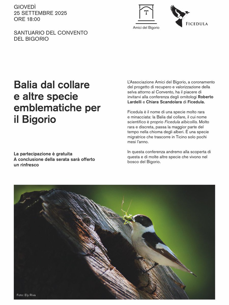 In collaborazione con l’associazione Amici del Bigorio 25 settembre 2025 conferenza presso il Santuario del Bigorio ore 18.00
Vi aspettiamo! 
Scatto di Ely Riva 🙂