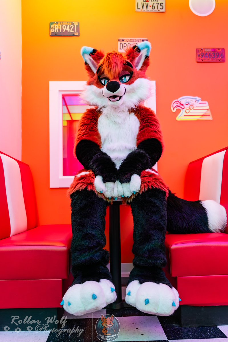 Am I a good fox? 

📸<a href="/rollarwolf/">Rollar Wolf</a>