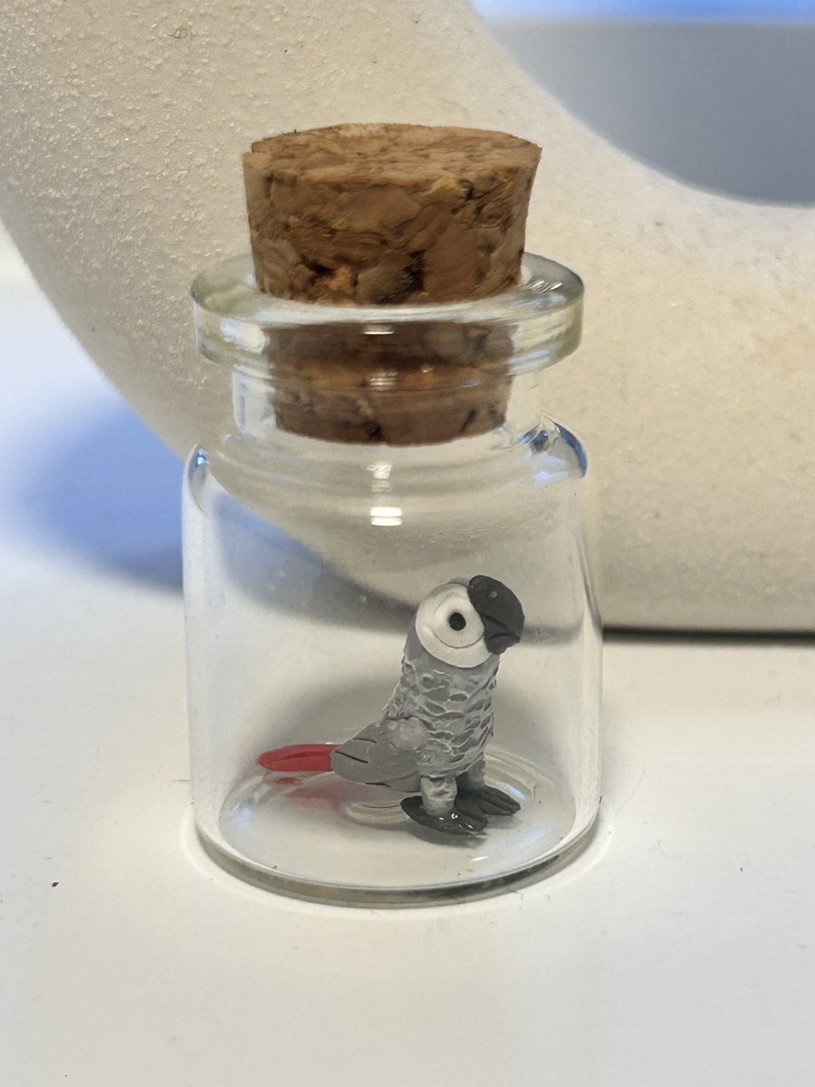 So our friends went to Thailand 🇹🇭 and found me in the market being hand made by some dude 🙌🏻😁😍 they said they couldn’t just walk past and had to buy him for my humans! They loveee it , it’s sooooo tiny the photos don’t do it much justice! 👏🏻 #sidslife #africangrey #toocute 🫶🏻