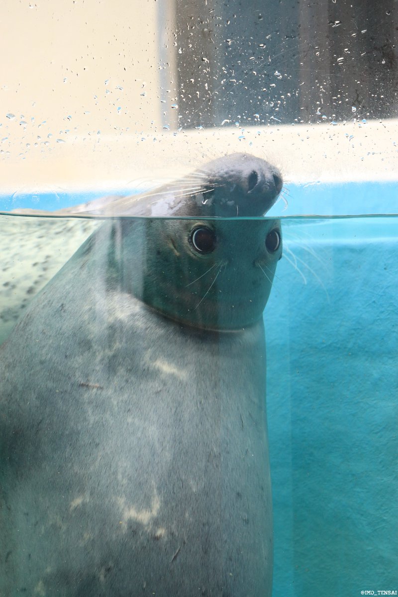 マロンちゃん𝑳𝑶𝑽𝑬.