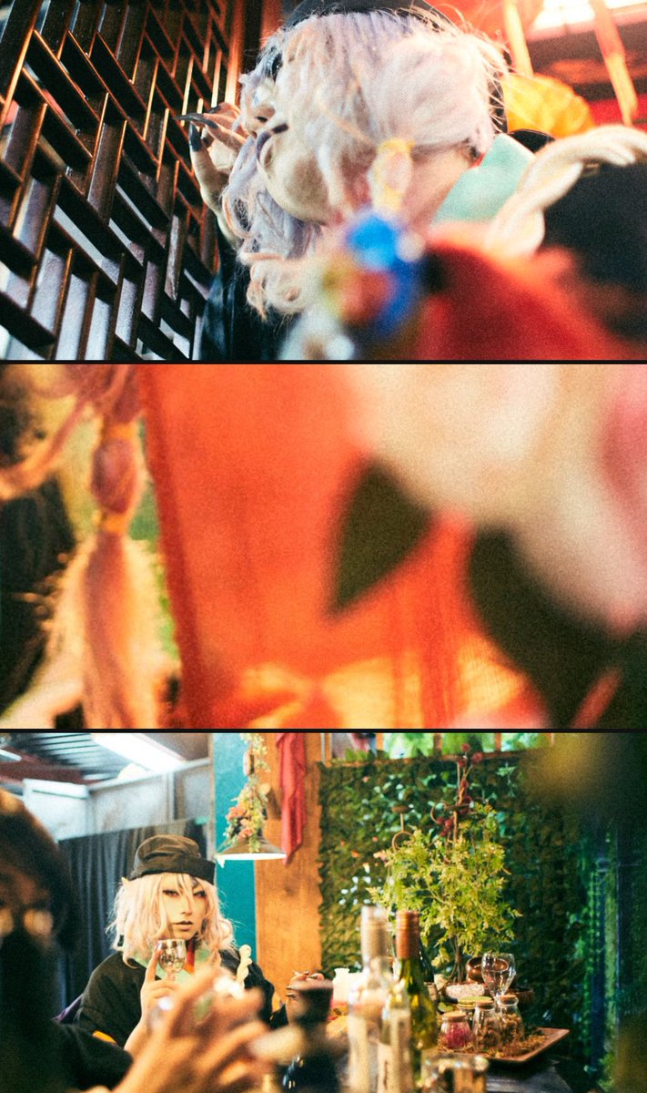 お気に入り☺️
撮影　知世様　<a href="/tom_knd/">知世</a>
 #薬売りの日