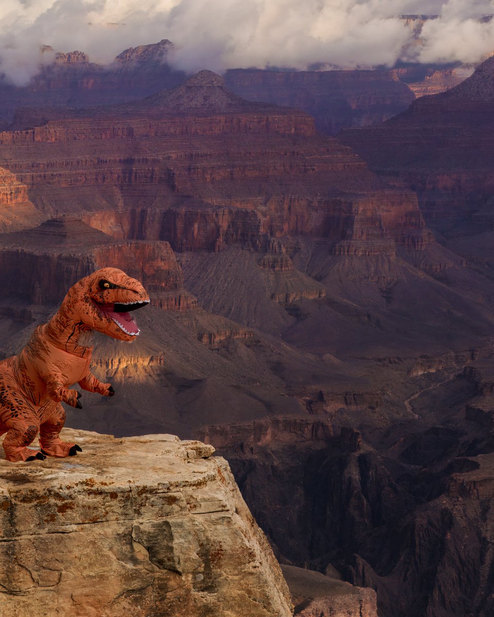 Finding Rex tweet media