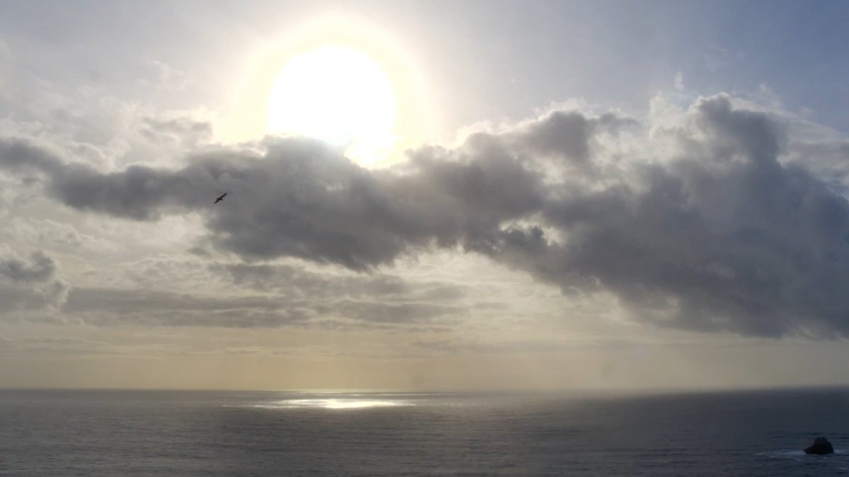 Solporeu tweet media