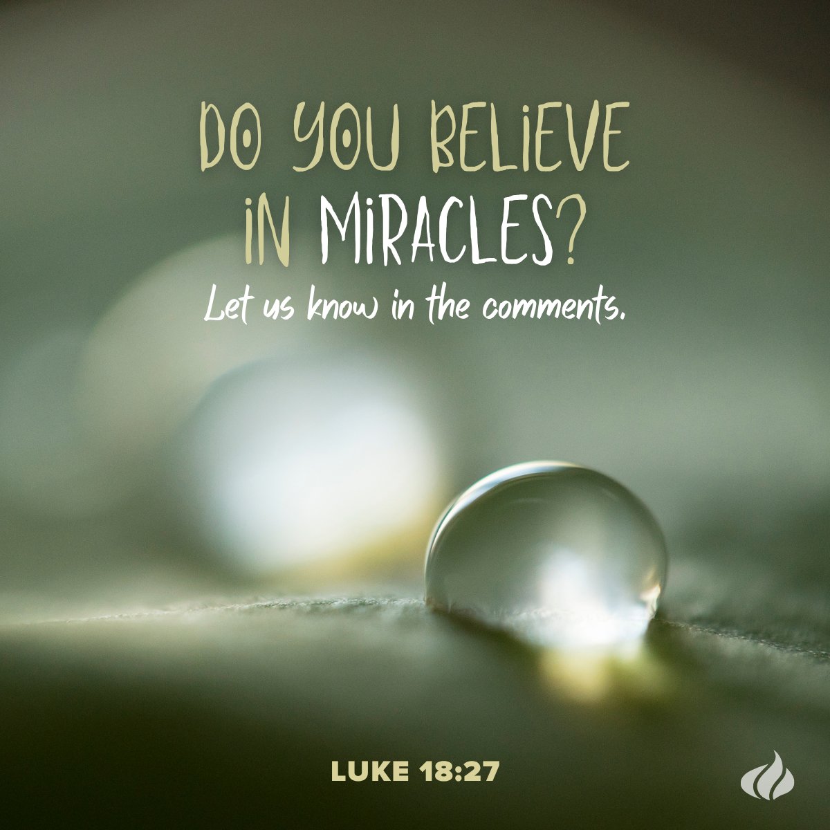 CBNOnline's tweet image. Where do you see miracles today?? 🔎
#miracles #godismoving #prayer #healing #godprovides #creation #nature #questions #faith
