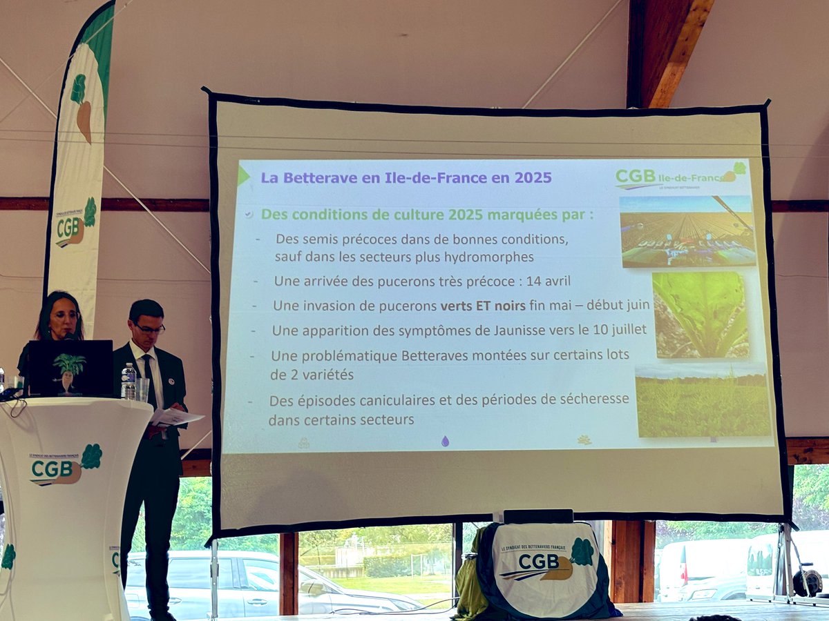 Les conditions de culture de <a href="/_MissBetter/">Miss Better</a> en IDF <a href="/CGB_IledeFrance/">CGB Ile-de-France</a> 
Un département touché par la jaunisse