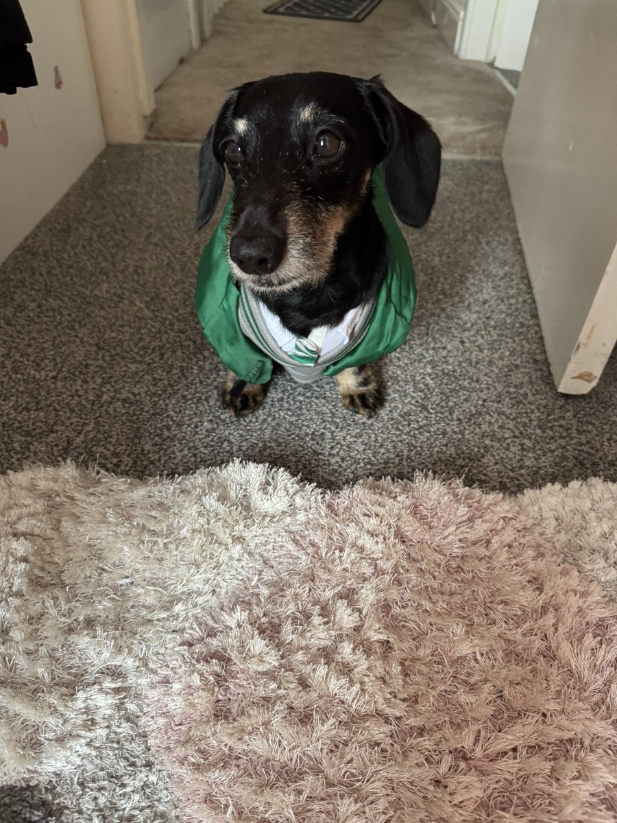 John Bryant tweet media