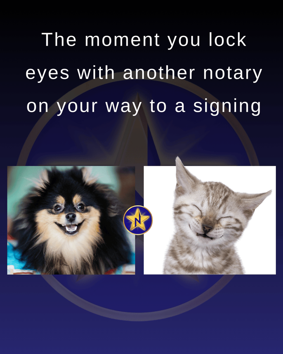 NotaryStars's tweet image. That notary-to-notary look on the way to work 👀

#justforfun #NotaryHumor 
#SigningAgentExcellence #NotaryStars 
#notarylife #mentorship #notarypublic #notary #loansigningagent