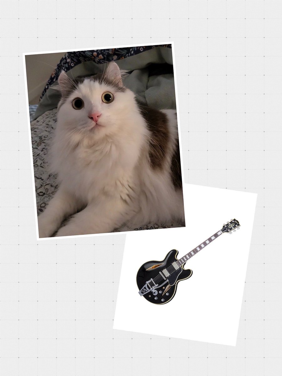 혠타투 tweet media