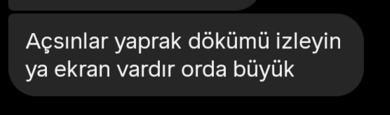 yenemezsin nasıl yeneceksin ki