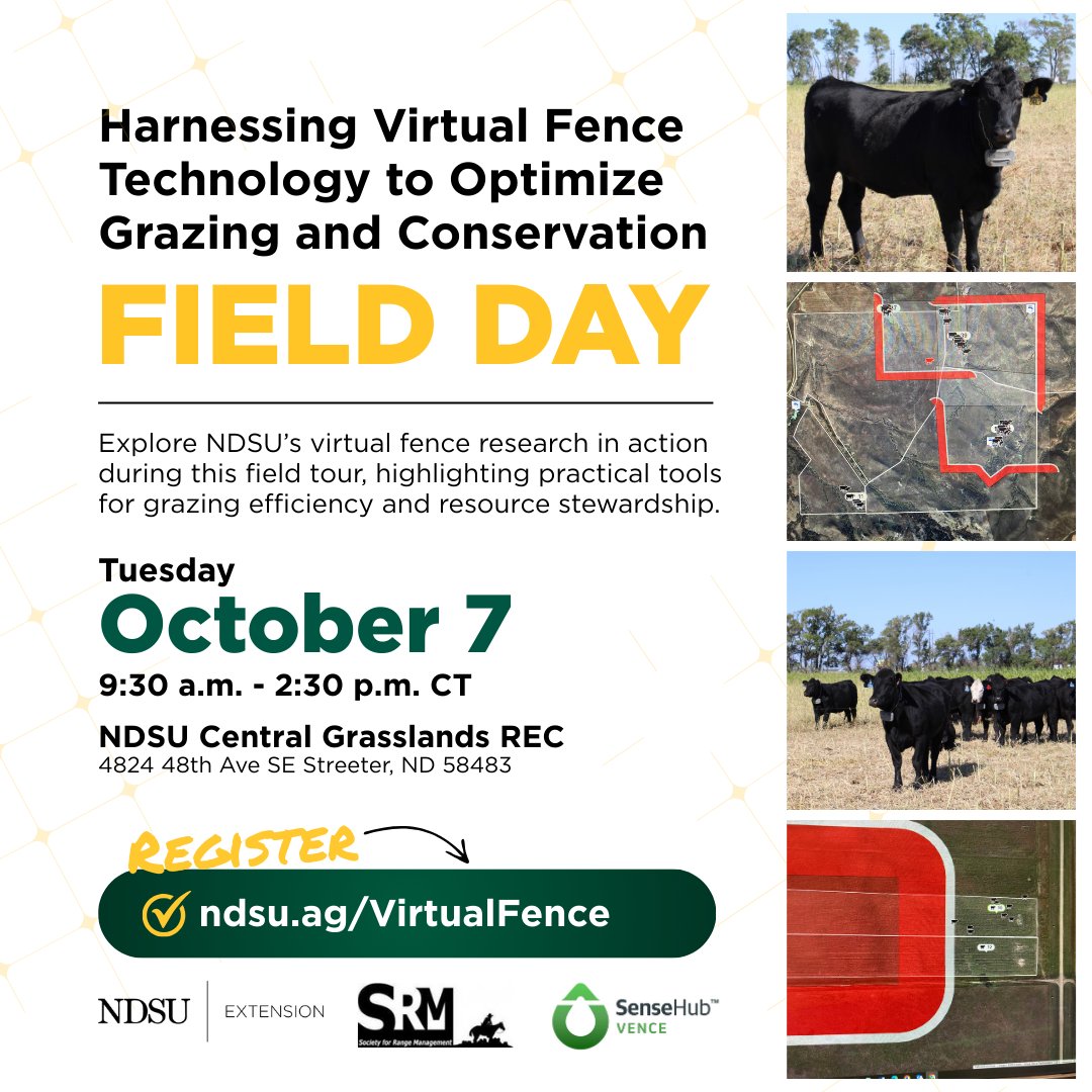 NDSU Extension (@ndsuextension) on Twitter photo NDSU researchers are exploring how virtual fence technology can change the way livestock are managed while supporting conservation goals. Join us on Tuesday, Oct. 7, 2025, at the NDSU Central Grasslands Research Extension Center in Streeter, ND, for a field day showcasing ongoing NDSU researchers are exploring how virtual fence technology can change the way livestock are managed while supporting conservation goals. Join us on Tuesday, Oct. 7, 2025, at the NDSU Central Grasslands Research Extension Center in Streeter, ND, for a field day showcasing ongoing