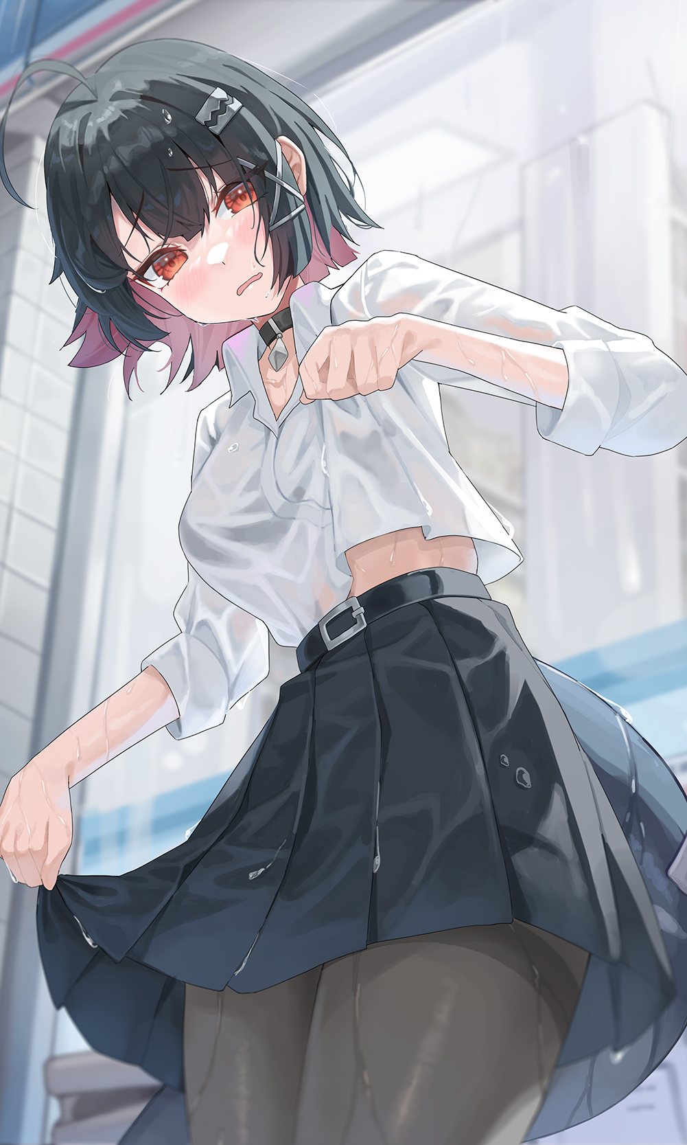 投稿の画像
