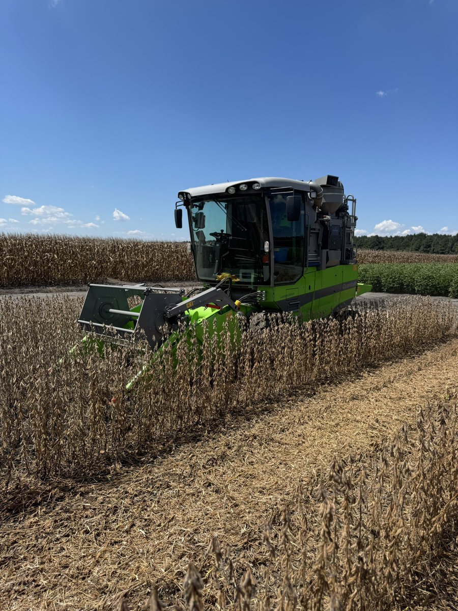 NC State Soybean Extension tweet media