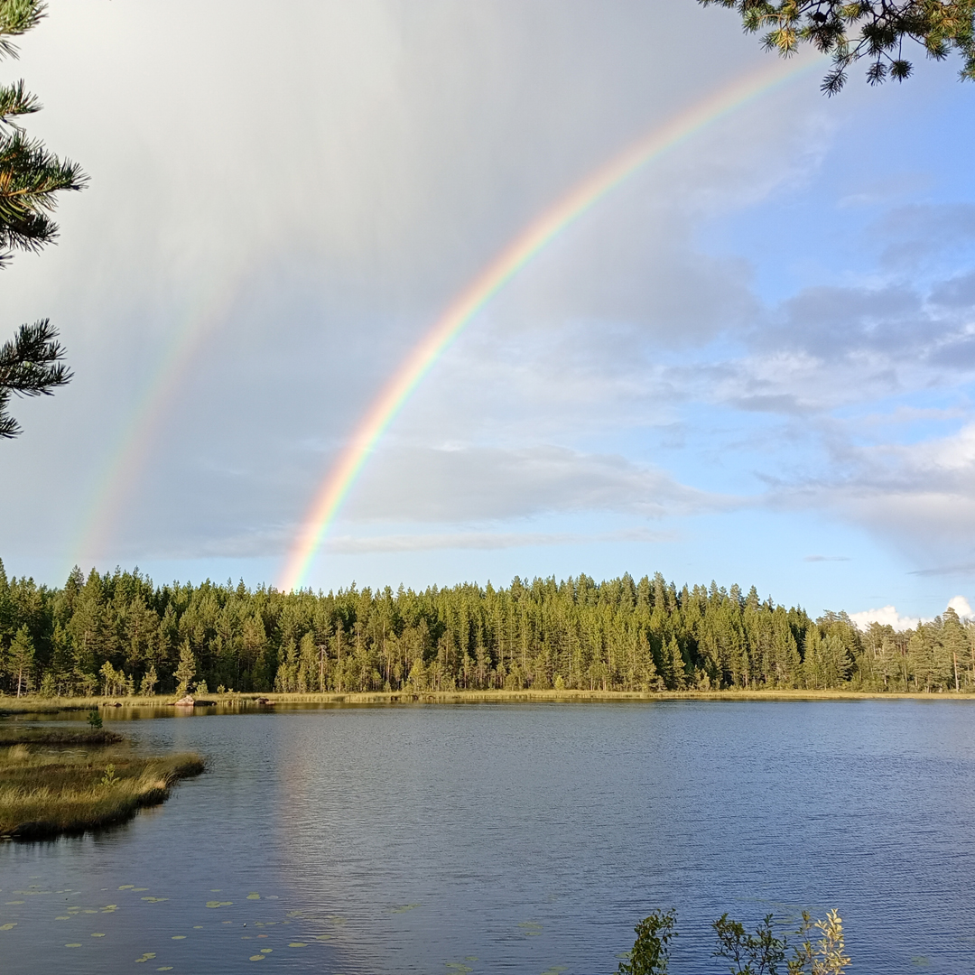 Ivan recently returned from our 7-day Canoe Tours on Svartälven in Värmland in the west of Sweden as “two dads and two lads” and very kindly sent us a trip report from his tour, including some Top Tips for future paddlers! 🚣‍♂️🏕

naturetravels.co.uk/blog/canoeing-…