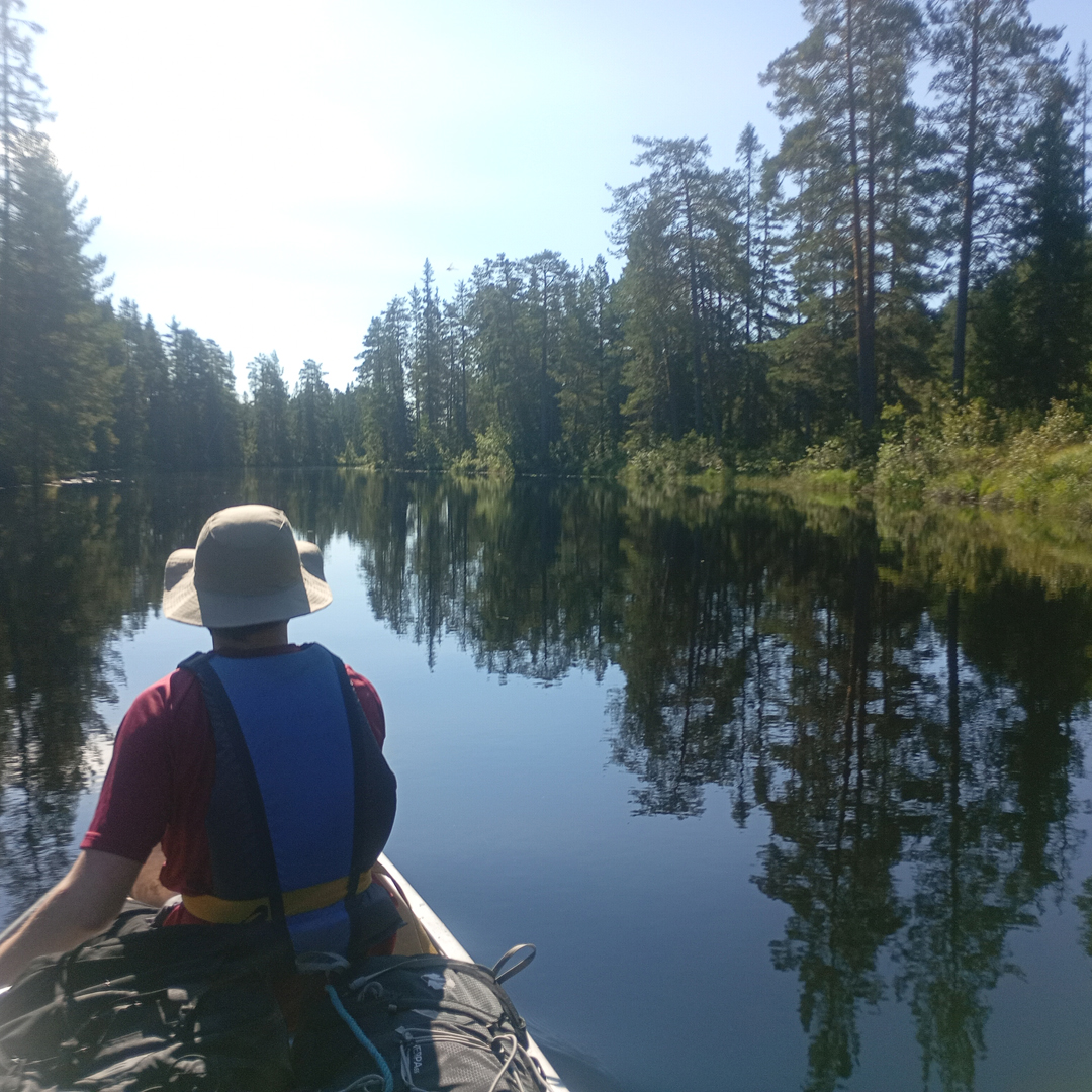 Nature Travels tweet media