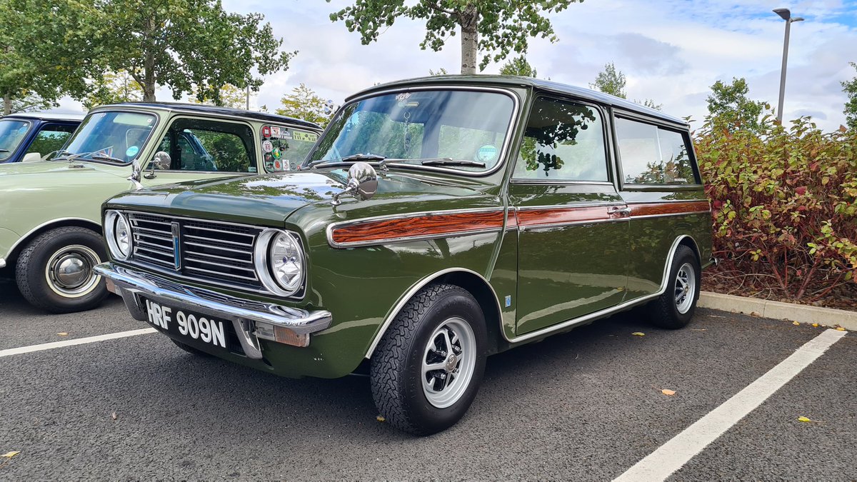 Dogknob1 tweet media