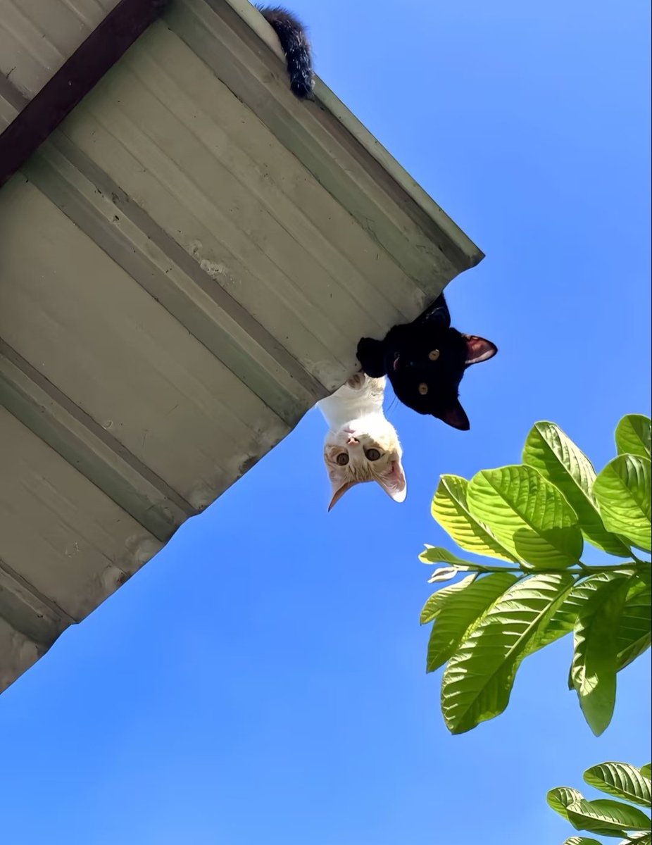 Kathleen (@tmszhjh88) on Twitter photo 