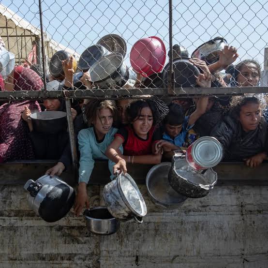 GloriaBritoN's tweet photo. Buenos días.  Te invito a leer mi artículo de esta semana: 
EL IMPERIALISMO  CONDENA A GAZA A VIVIR ENTRE RUINAS  HAMBRE  Y MIEDO
https://t.co/0yKjvLETEL https://t.co/AgYaeF65FP