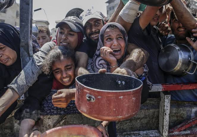GloriaBritoN's tweet photo. Buenos días.  Te invito a leer mi artículo de esta semana: 
EL IMPERIALISMO  CONDENA A GAZA A VIVIR ENTRE RUINAS  HAMBRE  Y MIEDO
https://t.co/0yKjvLETEL https://t.co/AgYaeF65FP