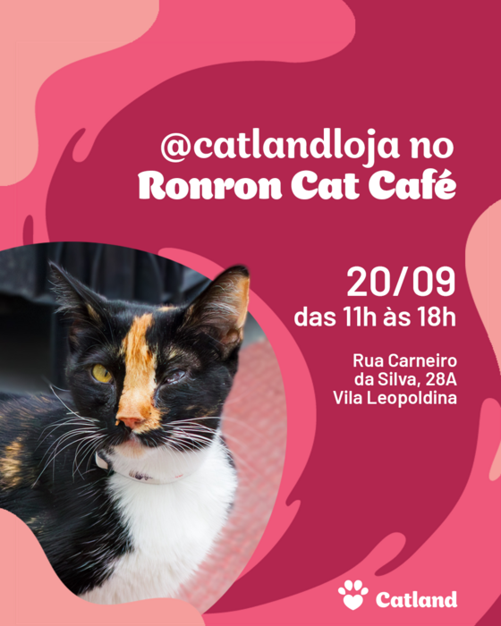 catlandrescue's tweet photo. Prepare-se para mais uma edição especial: a Catloja está chegando novamente ao Ronron Cat Café! 🥳

No sábado, 20/09, das 11h às 18h, nossa Catloja, junto com os gatinhos, vão ocupar o café mais aconchegante da cidade! ❤️

Nos visite: Rua Carneiro da Silva, 28A – Vila Leopoldina https://t.co/aSrWUH36da
