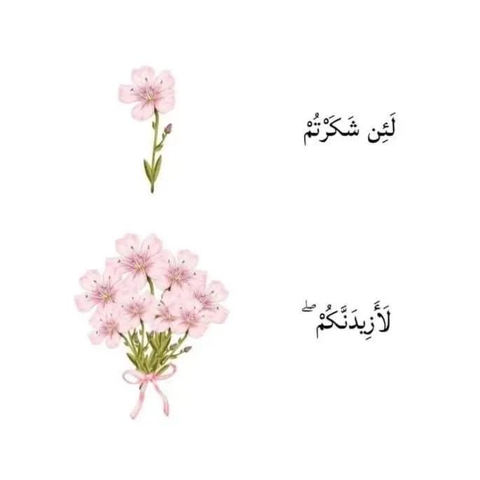 "يا واسع اللطف إن الحال تعلمه
ربي لك الحمد في صفو وفي كدر."
                 🧡📿